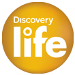 Discovery Life