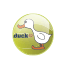 Duck TV