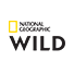 National Geographic WILD